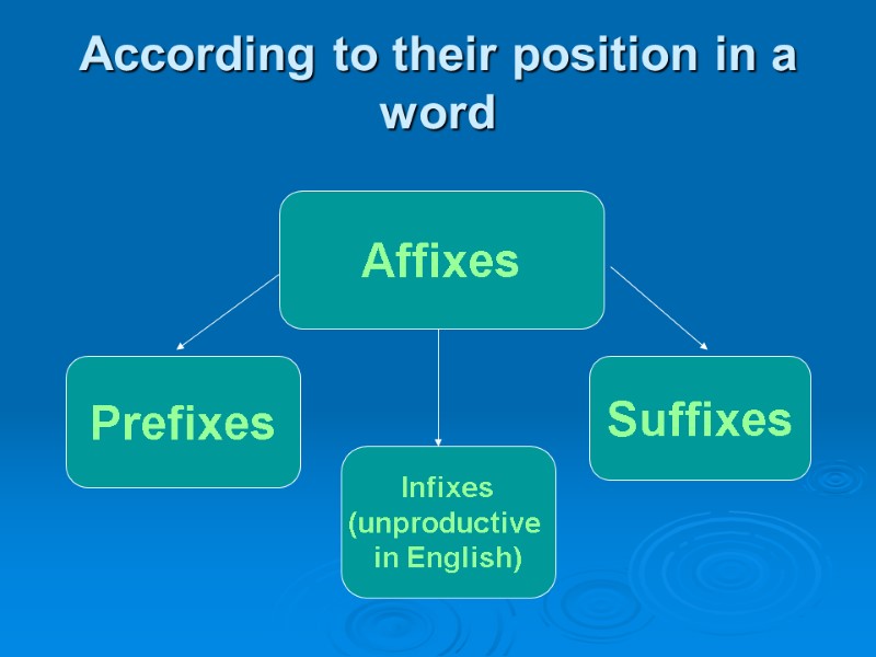 According to their position in a word Affixes Prefixes Suffixes Infixes (unproductive  in